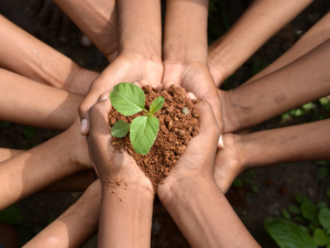 declaración ambiental de un producto