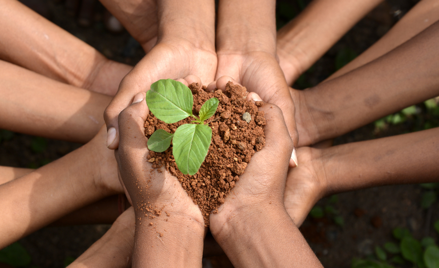 declaración ambiental de un producto